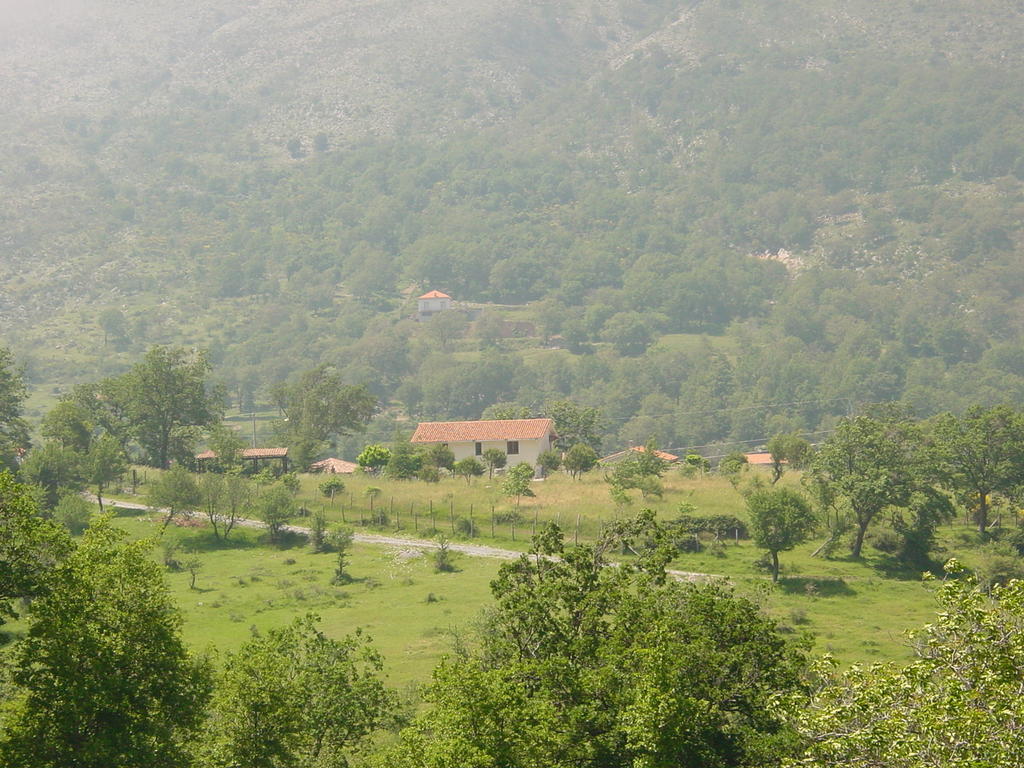 Agriturismo Collevento Trecchina Luaran gambar