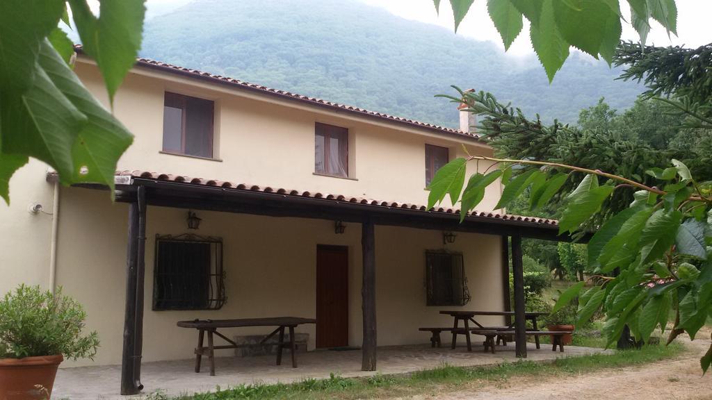 Agriturismo Collevento Trecchina Bilik gambar