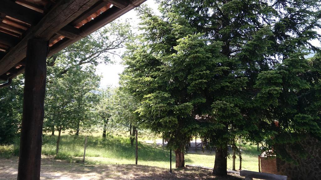 Agriturismo Collevento Trecchina Luaran gambar