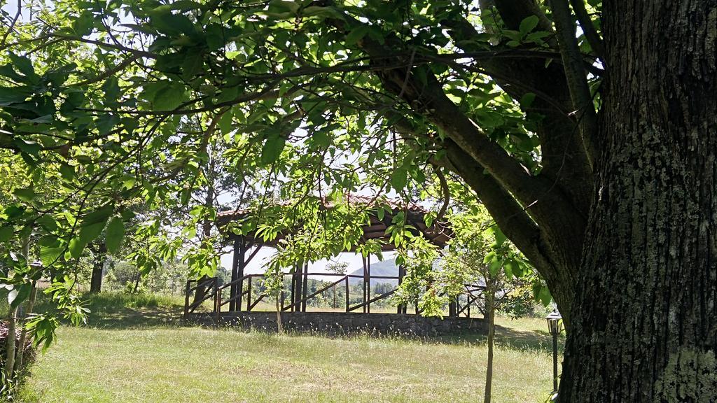 Agriturismo Collevento Trecchina Luaran gambar